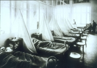The Influenza Ward of the U.S. Army Camp Hospital in France, circa 1918 (Credit: Armed Forces Institute of Pathology)